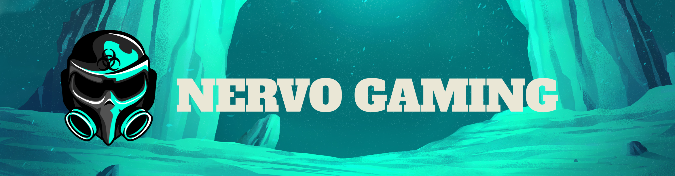 Nervo Gaming Top Banner
